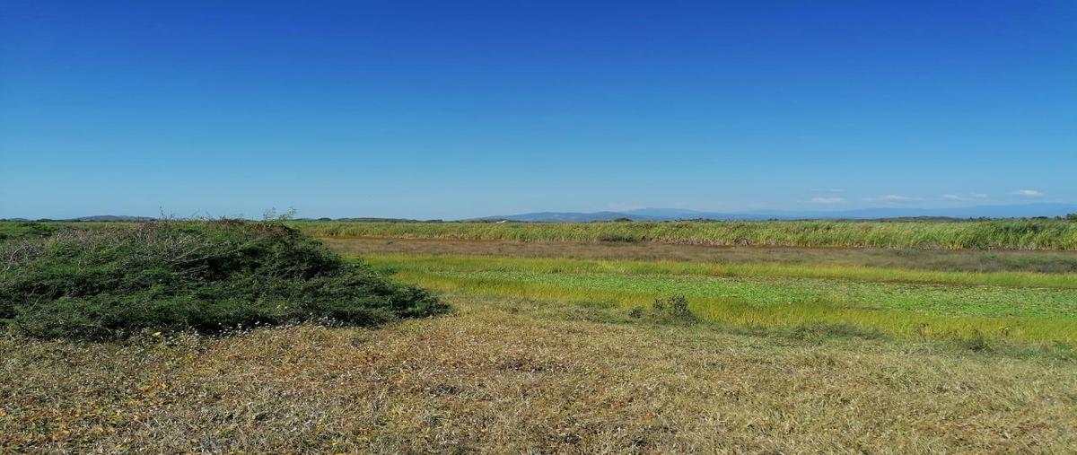 Foto de terreno habitacional en , acapulco de juárez centro, acapulco de juárez, guerrero, 0 foto 02 Foto de terreno habitacional en venta en , acapulco de juárez centro, acapulco de juárez, guerrero, 0 No. 02
