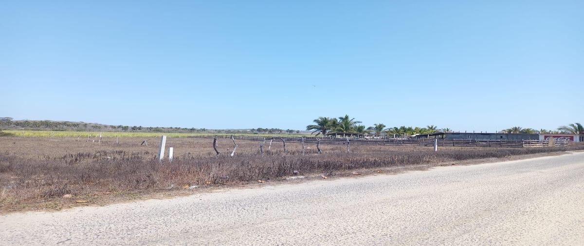 Foto de terreno habitacional en , acapulco de juárez centro, acapulco de juárez, guerrero, 0 foto 03 Foto de terreno habitacional en venta en , acapulco de juárez centro, acapulco de juárez, guerrero, 0 No. 03