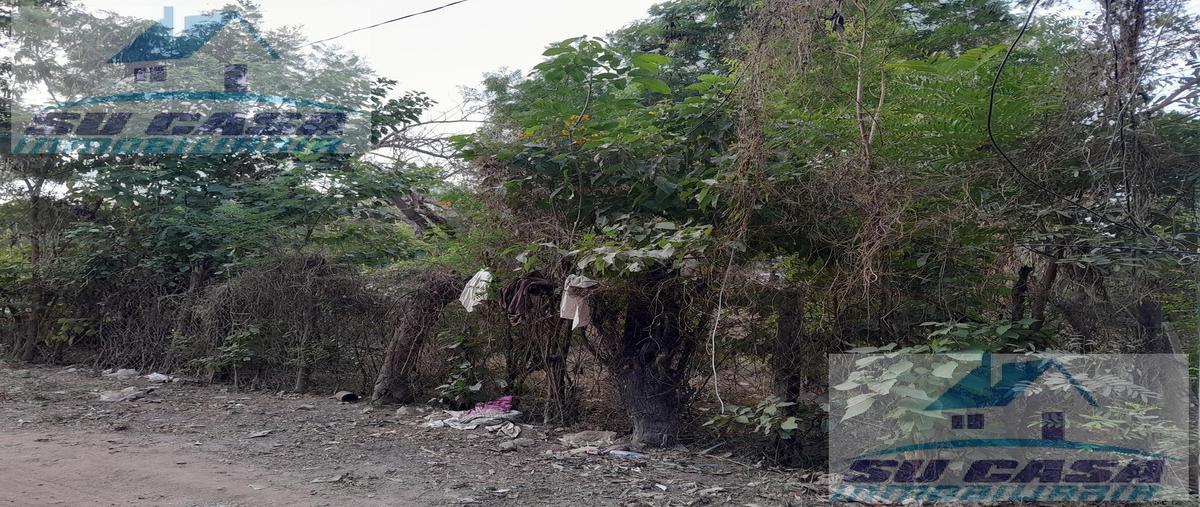 Foto de terreno habitacional en venta en  , acapulco de juárez centro, acapulco de juárez, guerrero, 0 No. 03