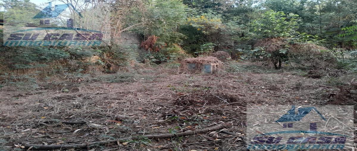 Foto de terreno habitacional en venta en  , acapulco de juárez centro, acapulco de juárez, guerrero, 0 No. 05