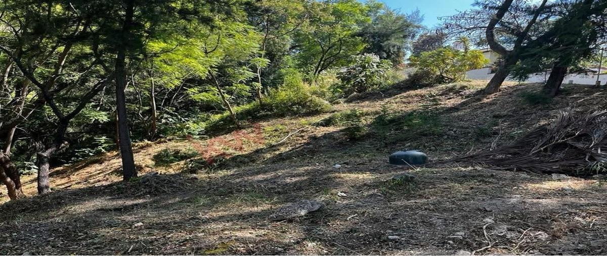 Foto de terreno habitacional en venta en acapulco , san antonio tlayacapan, chapala, jalisco, 0 No. 04