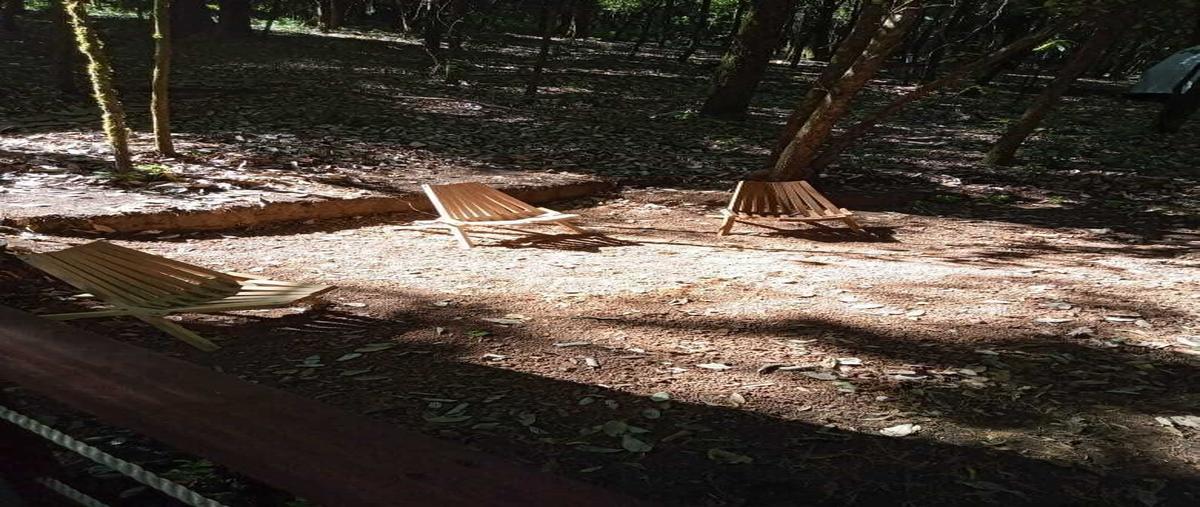 Foto de terreno habitacional en venta en acatitlan , san antonio, valle de bravo, méxico, 29051560 No. 05