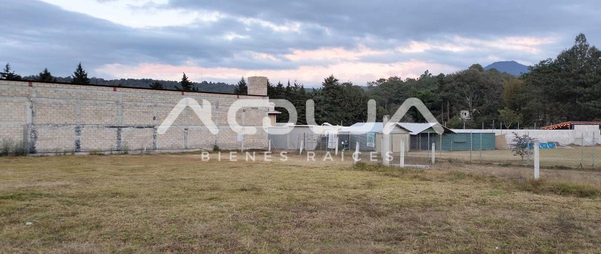 Foto de terreno habitacional en venta en acatitlan , san antonio, valle de bravo, méxico, 29080042 No. 03