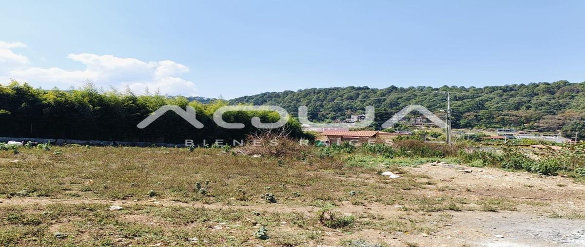 Foto de terreno habitacional en venta en acatitlan , san antonio, valle de bravo, méxico, 29393248 No. 05