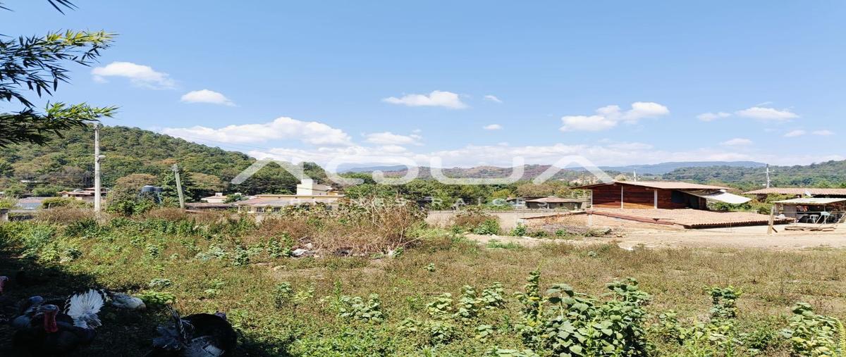 Foto de terreno habitacional en venta en acatitlan , san antonio, valle de bravo, méxico, 29393249 No. 05