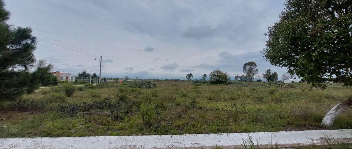 Foto de terreno habitacional en venta en  , acatlán centro, acatlán, hidalgo, 0 No. 03