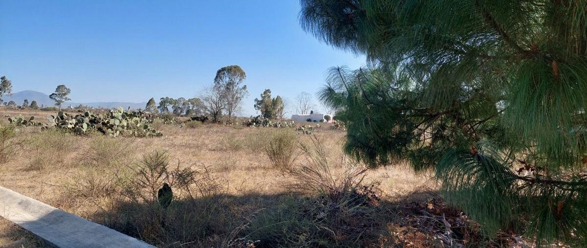 Foto de terreno habitacional en venta en  , acatlán centro, acatlán, hidalgo, 0 No. 04