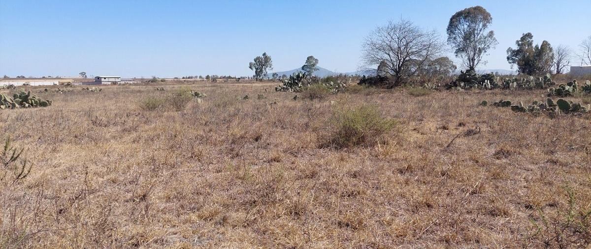 Foto de terreno habitacional en venta en  , acatlán centro, acatlán, hidalgo, 0 No. 05