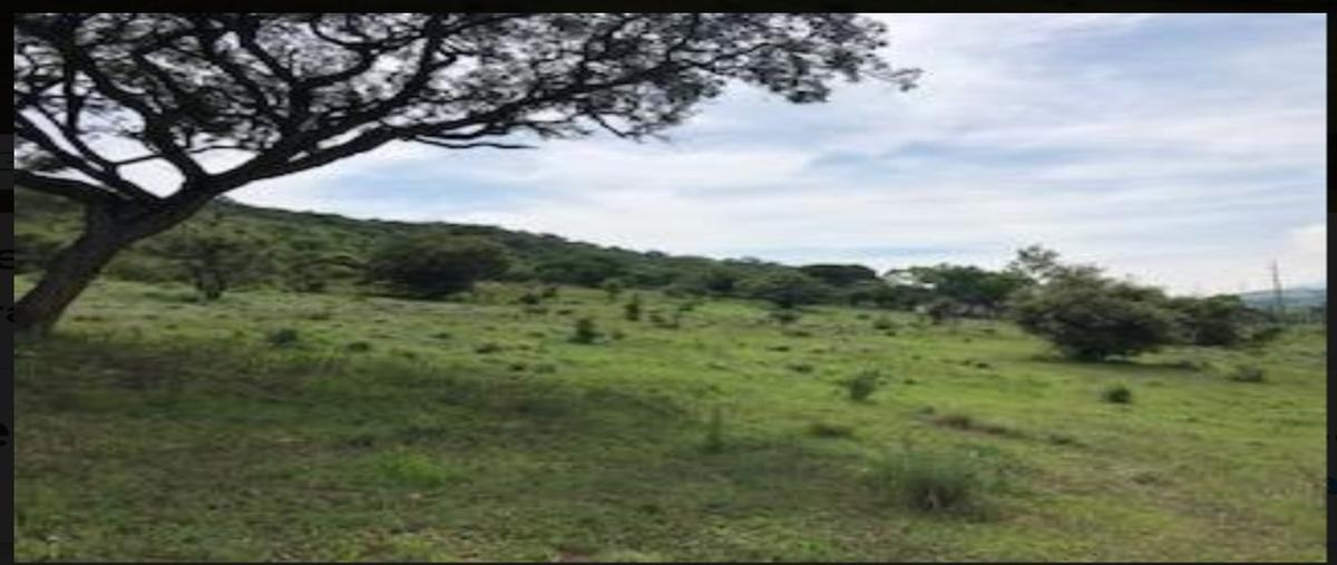Foto de terreno habitacional en venta en  , acatlan de juárez, acatlán de juárez, jalisco, 13692733 No. 05