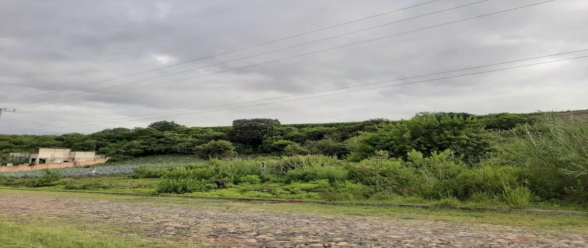 Foto de terreno habitacional en venta en  , acatlan de juárez, acatlán de juárez, jalisco, 0 No. 03