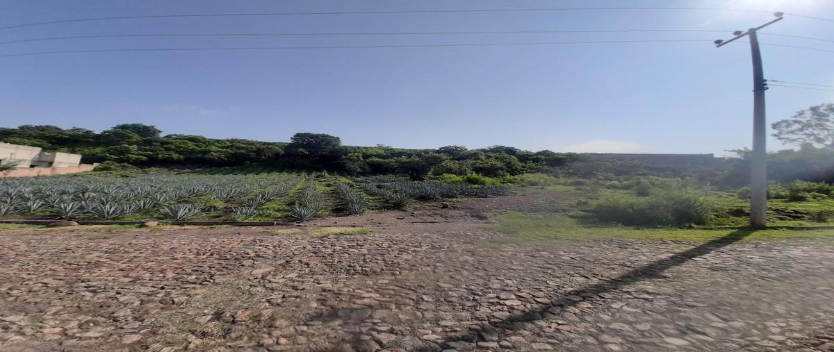 Foto de terreno habitacional en venta en  , acatlan de juárez, acatlán de juárez, jalisco, 0 No. 04