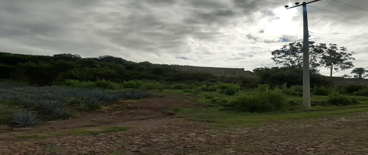 Foto de terreno habitacional en venta en  , acatlan de juárez, acatlán de juárez, jalisco, 0 No. 05