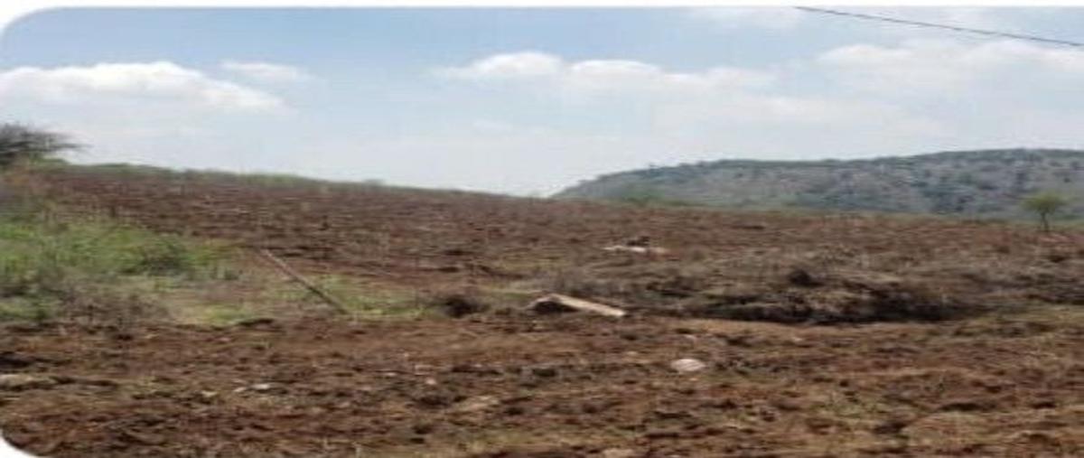 Foto de terreno habitacional en venta en  , acatlan de juárez, acatlán de juárez, jalisco, 0 No. 03