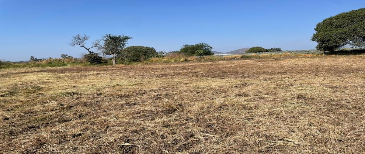Foto de terreno habitacional en venta en  , acatlan de juárez, acatlán de juárez, jalisco, 0 No. 04