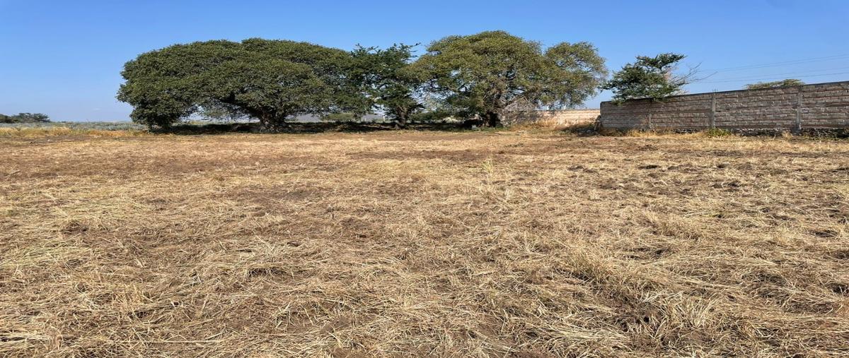 Foto de terreno habitacional en venta en  , acatlan de juárez, acatlán de juárez, jalisco, 0 No. 05