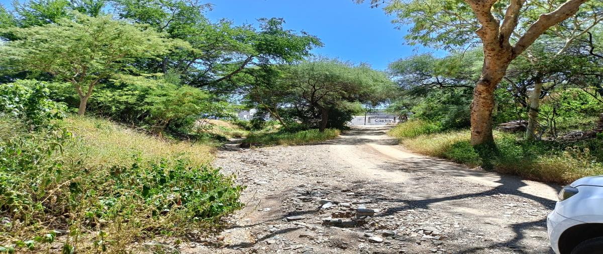 Foto de terreno habitacional en venta en  , acatlán de osorio centro, acatlán, puebla, 27834370 No. 03