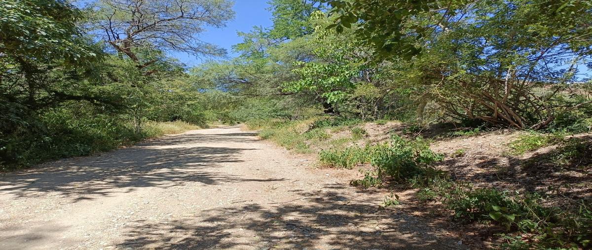 Foto de terreno habitacional en venta en  , acatlán de osorio centro, acatlán, puebla, 27834370 No. 05