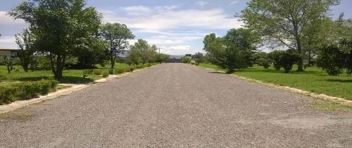 Foto de nave industrial en venta en  , acatzingo de hidalgo, acatzingo, puebla, 26686526 No. 04