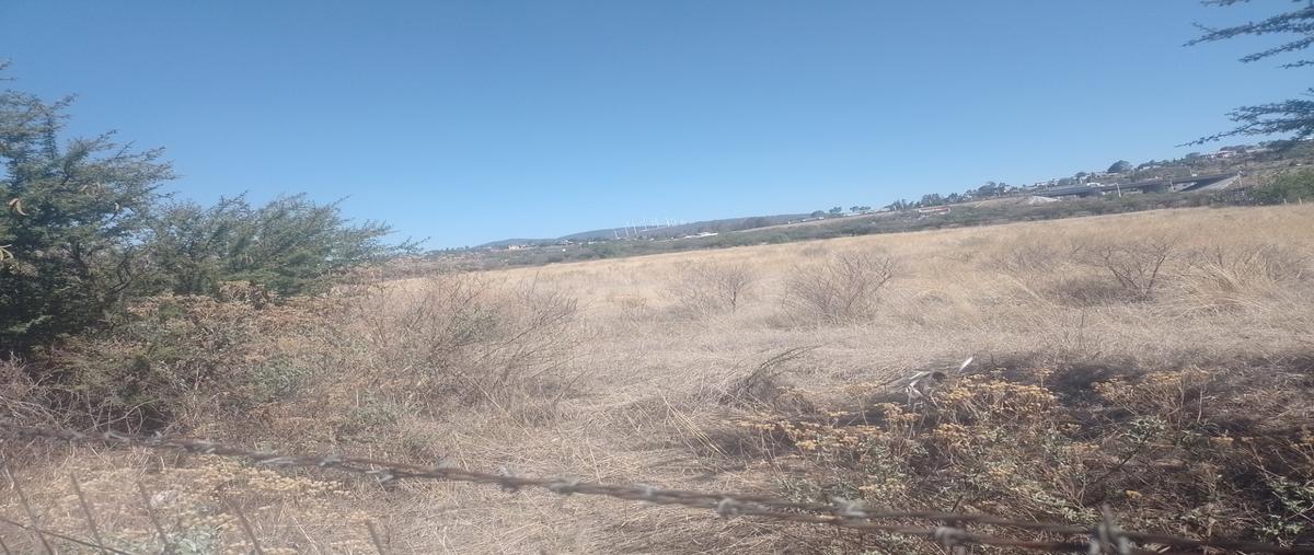 Foto de terreno industrial en venta en acceso a huitrón , el peral, huimilpan, querétaro, 26626527 No. 03
