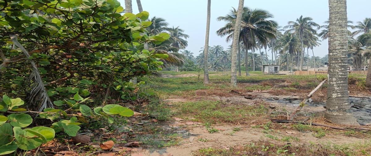 Foto de terreno habitacional en venta en acceso a parcelas , carlos a. madrazo, centla, tabasco, 28192297 No. 03