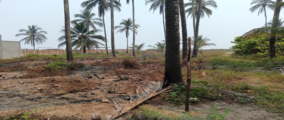 Foto de terreno habitacional en venta en acceso a parcelas , carlos a. madrazo, centla, tabasco, 28192297 No. 04