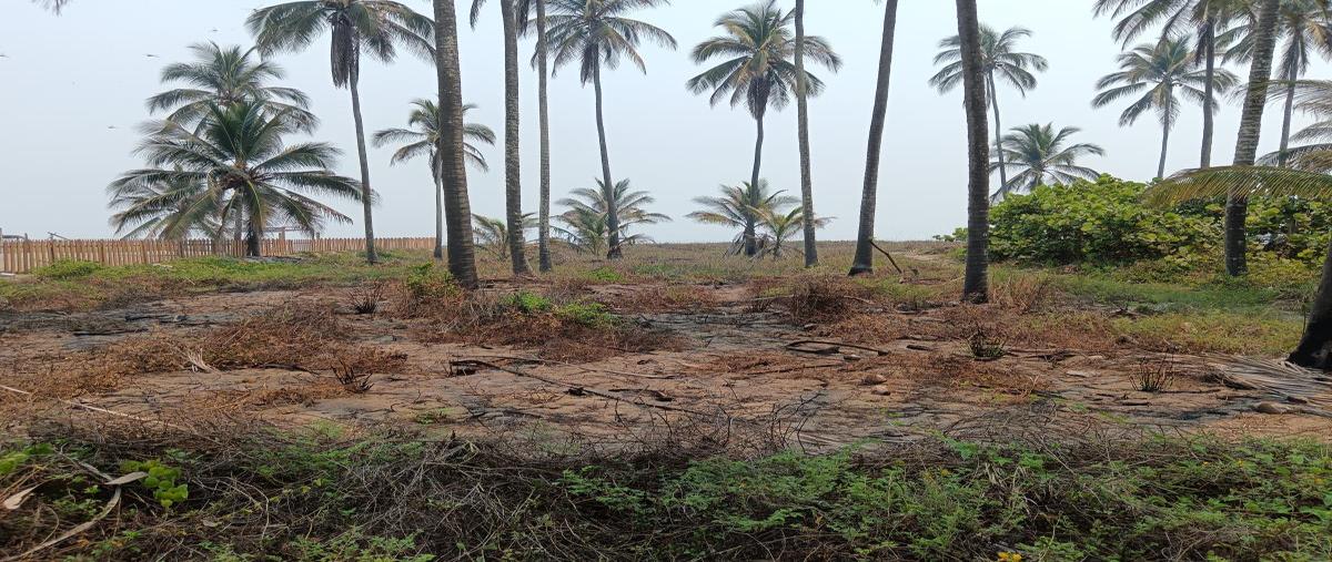 Foto de terreno habitacional en venta en acceso a parcelas , carlos a. madrazo, centla, tabasco, 28192297 No. 05