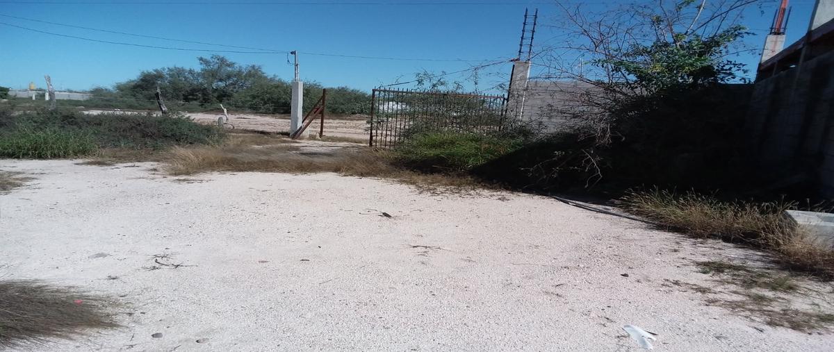 Foto de terreno habitacional en acceso columbia export , el centenario, la paz, baja california sur, 14978460 foto 04 Foto de terreno habitacional en venta en acceso columbia export , el centenario, la paz, baja california sur, 14978460 No. 04