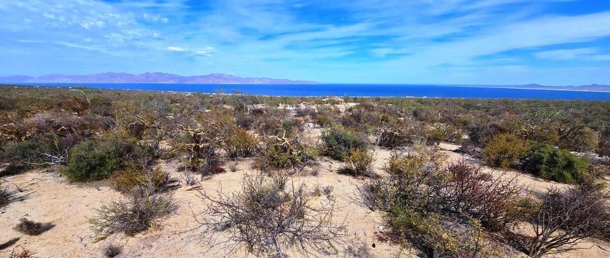 Foto de terreno habitacional en venta en acceso , el sargento, la paz, baja california sur, 29402366 No. 02