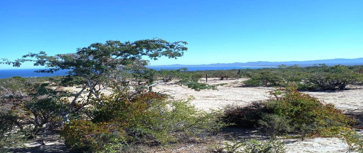 Foto de terreno habitacional en venta en acceso , el sargento, la paz, baja california sur, 29402366 No. 05