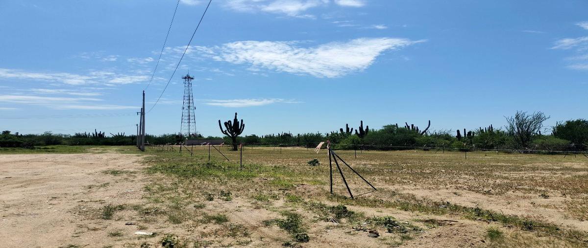 Foto de terreno habitacional en venta en acceso publico , parque industrial, la paz, baja california sur, 0 No. 03