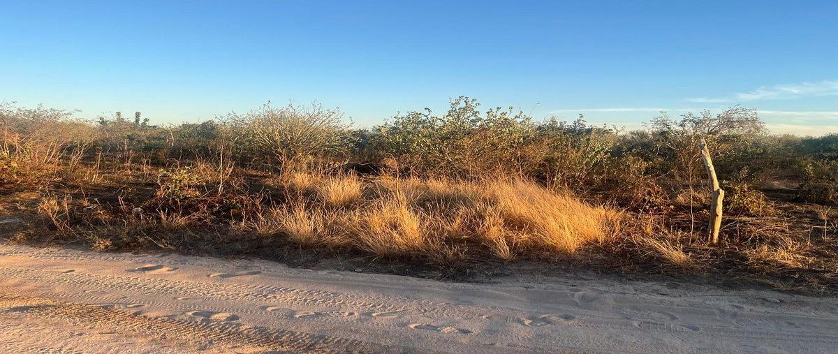 Foto de terreno habitacional en venta en acceso , san pedro, la paz, baja california sur, 0 No. 03
