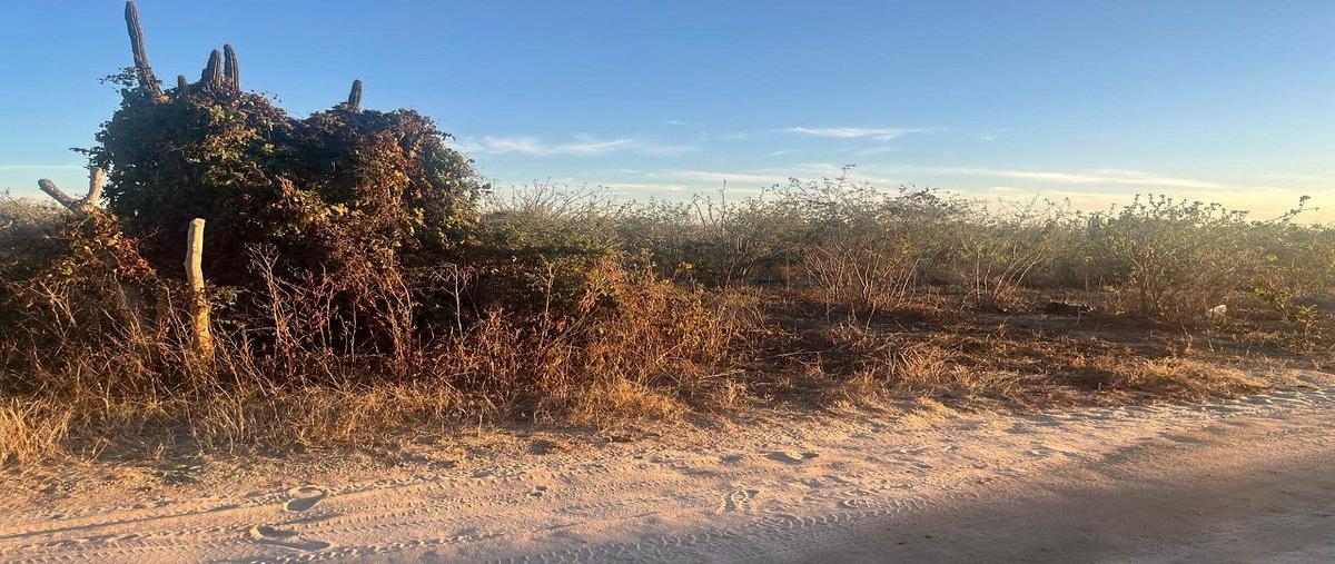Foto de terreno habitacional en venta en acceso , san pedro, la paz, baja california sur, 30973049 No. 04