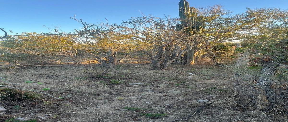 Foto de terreno habitacional en venta en acceso , san pedro, la paz, baja california sur, 30973050 No. 03