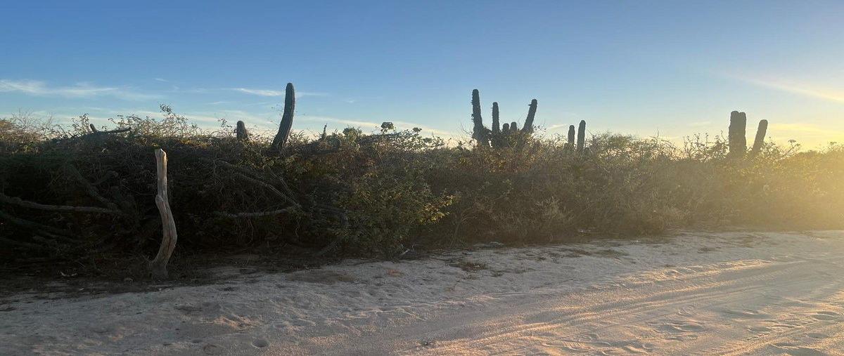 Foto de terreno habitacional en venta en acceso , san pedro, la paz, baja california sur, 30973050 No. 04