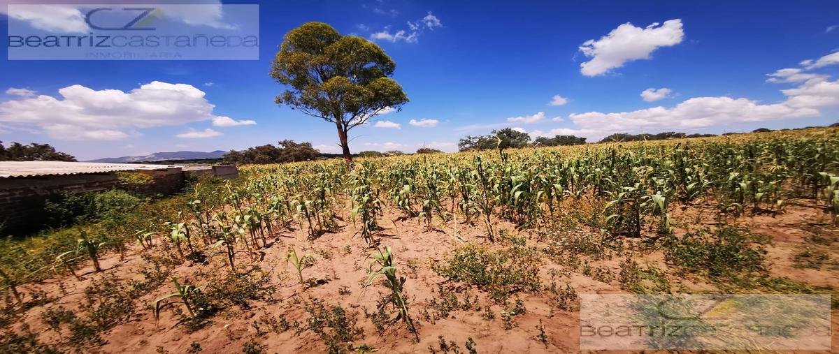 Foto de terreno habitacional en venta en  , acelotla de ocampo, zempoala, hidalgo, 0 No. 03
