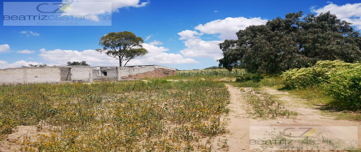 Foto de terreno habitacional en venta en  , acelotla de ocampo, zempoala, hidalgo, 0 No. 04