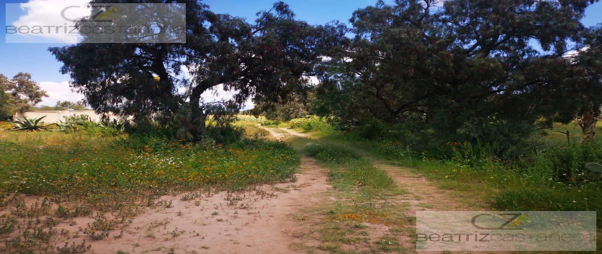 Foto de terreno habitacional en venta en  , acelotla de ocampo, zempoala, hidalgo, 0 No. 05