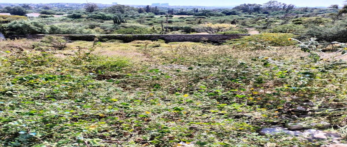 Foto de terreno habitacional en venta en acequia blanca , acequia blanca, querétaro, querétaro, 0 No. 05