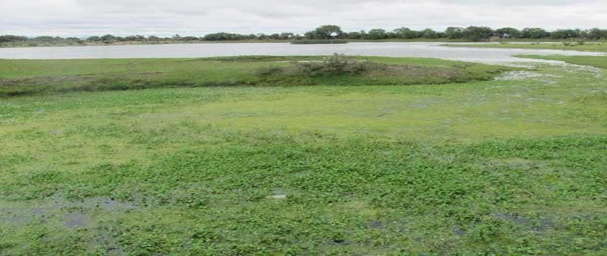 Foto de terreno habitacional en venta en  , achiyotl, san felipe orizatlán, hidalgo, 28233784 No. 03