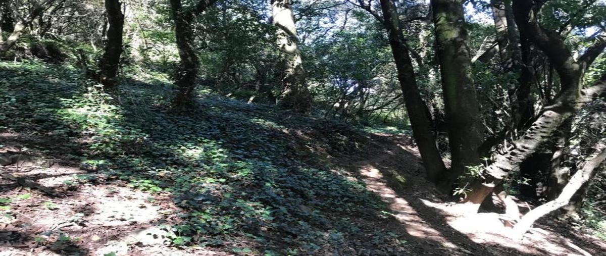 Foto de terreno habitacional en venta en acopilco 1, las maromas, cuajimalpa de morelos, df / cdmx, 22400264 No. 03