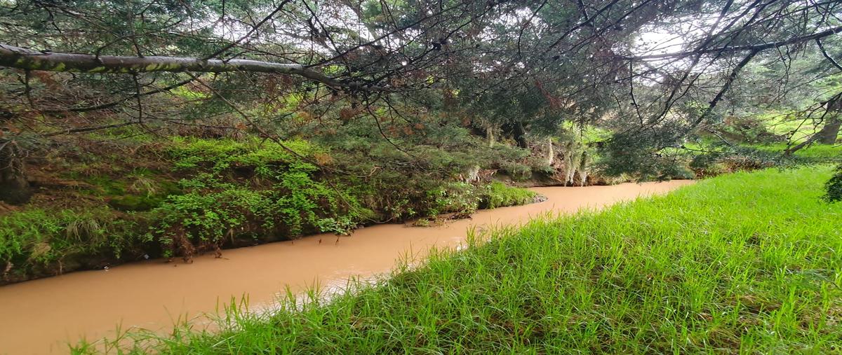 Foto de rancho en venta en acopinalco del peñón , acopinalco del peñón, tlaxco, tlaxcala, 26056182 No. 04