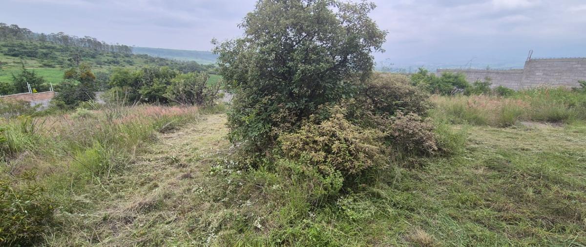 Foto de terreno habitacional en venta en  , acozac, ixtapaluca, méxico, 0 No. 05