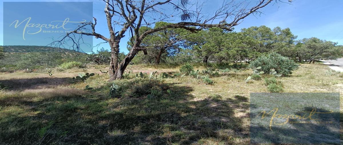 Foto de terreno habitacional en venta en  , actipac, tetla de la solidaridad, tlaxcala, 28918132 No. 02