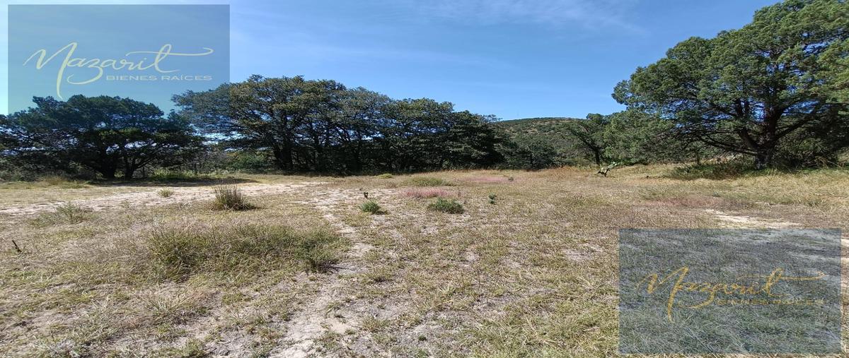 Foto de terreno habitacional en venta en  , actipac, tetla de la solidaridad, tlaxcala, 0 No. 03
