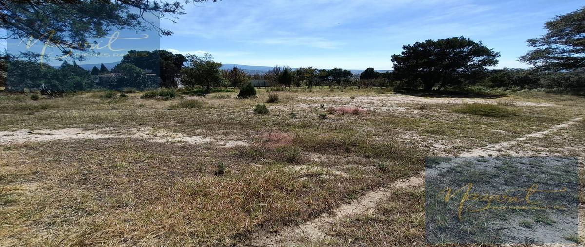 Foto de terreno habitacional en venta en  , actipac, tetla de la solidaridad, tlaxcala, 0 No. 04
