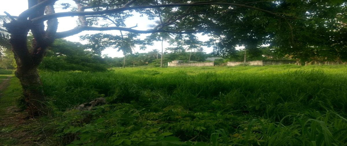 Foto de terreno habitacional en venta en  , actopan centro, actopan, veracruz de ignacio de la llave, 0 No. 03