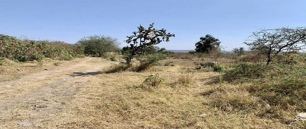Foto de terreno habitacional en venta en acueducto a colimilla s/n , alamedas de san gaspar, tonalá, jalisco, 0 No. 04