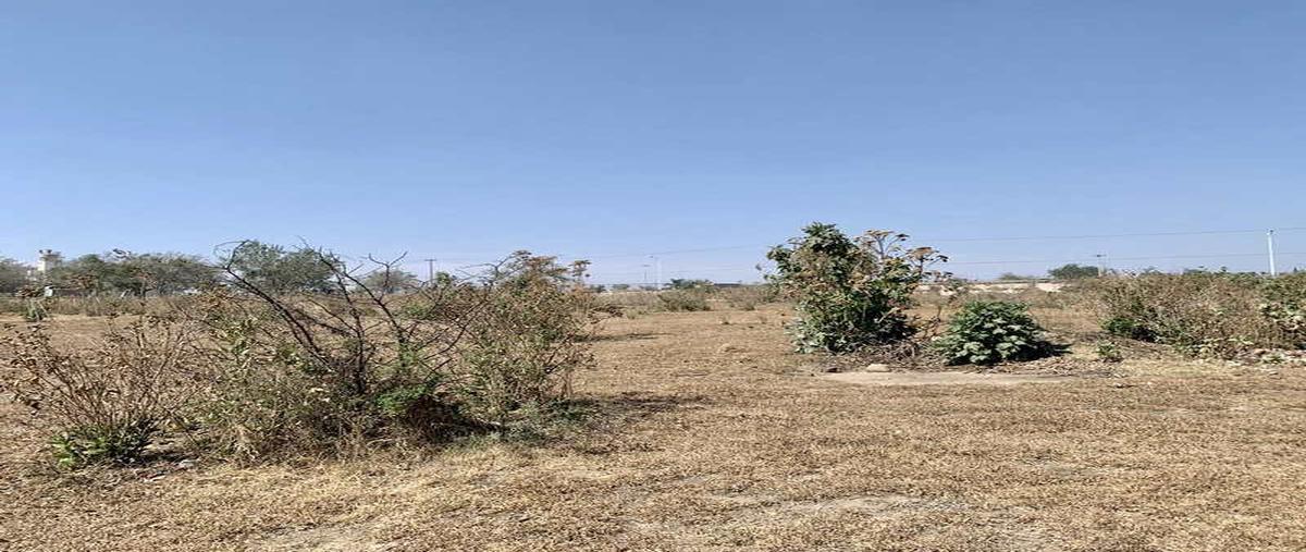 Foto de terreno habitacional en venta en acueducto a colimilla s/n , alamedas de san gaspar, tonalá, jalisco, 0 No. 05