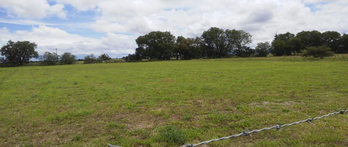 Foto de rancho en venta en acueducto , santo tomas ajusco, tlalpan, df / cdmx, 27961824 No. 04