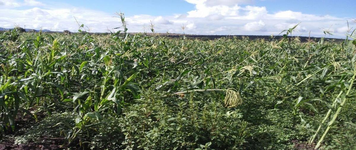 Foto de rancho en venta en acueducto , santo tomas ajusco, tlalpan, df / cdmx, 27961824 No. 05